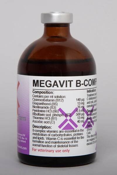 Megavit B-Complex + C Inj - Dutch Farm International