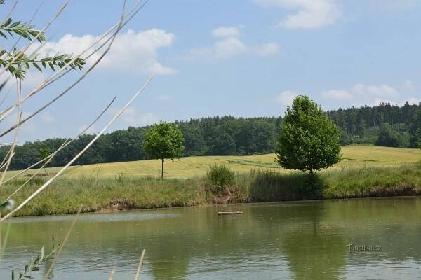 Malhostovice
