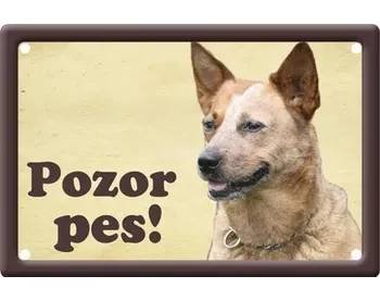 Plechová psí cedule, Australský honácký pes, Pozor pes