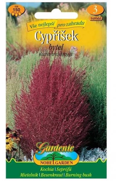 Gardenie Bytel metlatý - cypřišek, červený