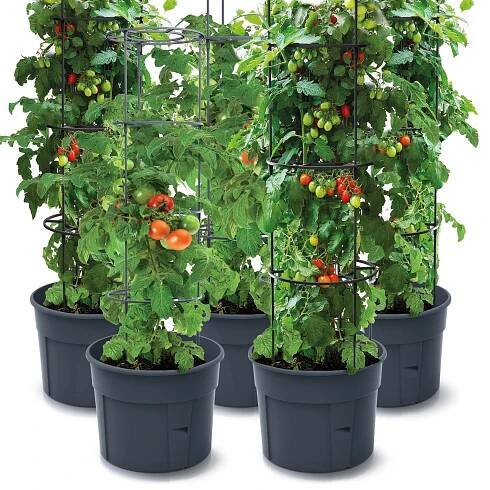 Sada 5X Květináč Na Pěstování Rajčat Tomato Grower 392X1530 Mm - Antracit