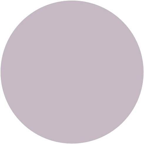 Mauve Mist · #C6B8C4 · Color Code · Values: HEX: #C6B8C4 · RGB: 198, 184, 196 · HSL: 309°, 11%, 75% · HSB (HSV): 309°, 7%, 78% · CMYK: 0%, 7%, 1%, 22%