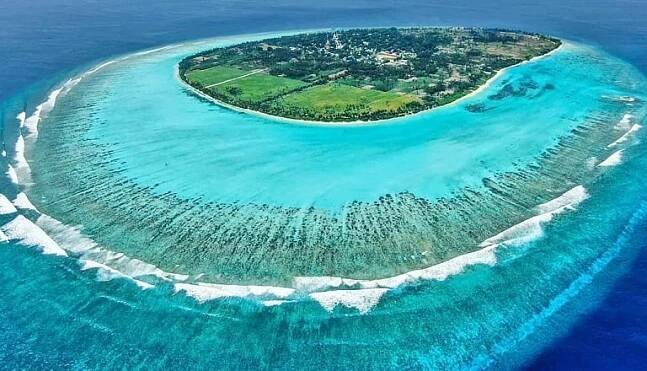 Thoddoo Island: Beach, Sharks, Manta, Glowing Plankton