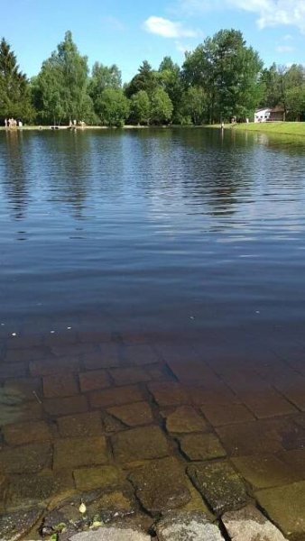 Koupaliště Rohanov foto 5