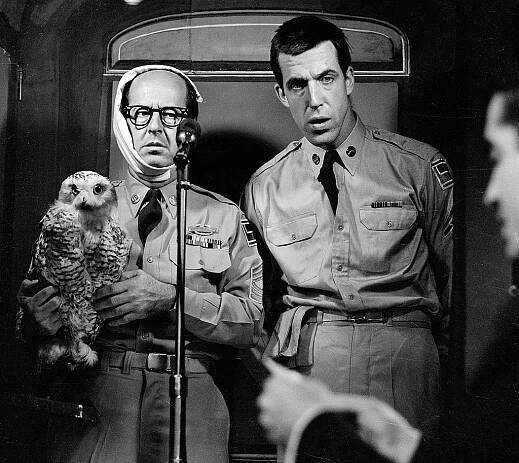 Phil Silvers and Fred Gwynne standing together while Silvers holds an owl