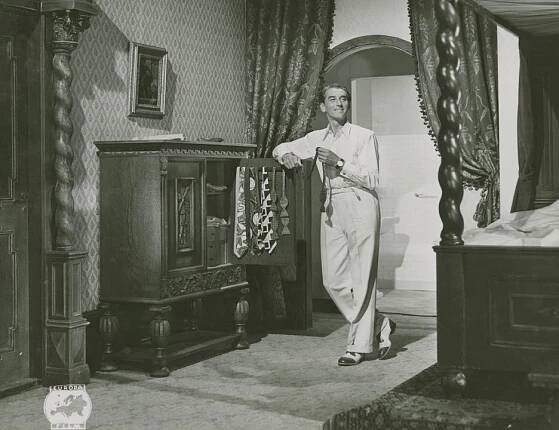 En fluga gör ingen sommar (1947)