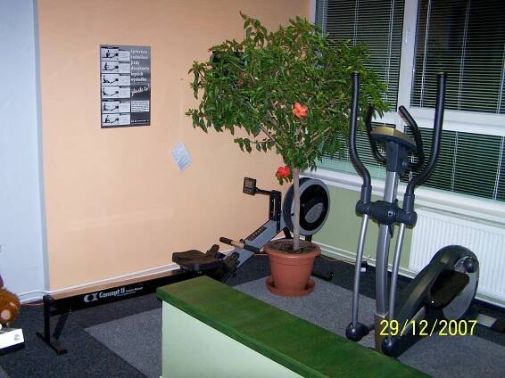 Fotogalerie | Fitness studio Věra