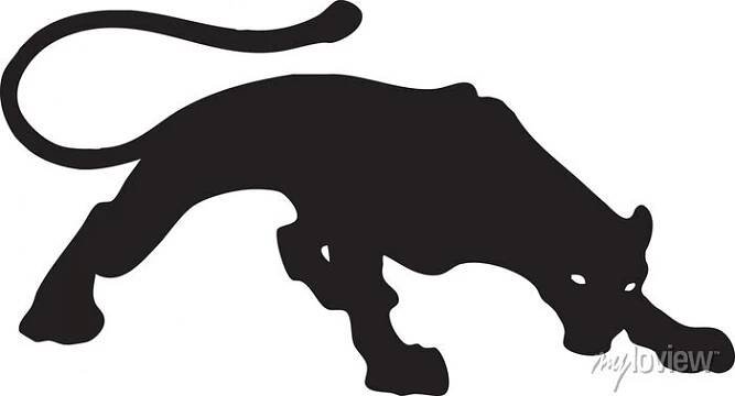 Černá puma 1