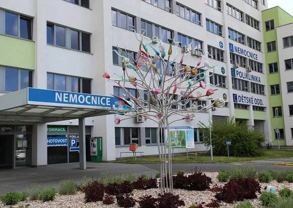 Kontroverzní kroky kolem fúze českolipské nemocnice a KNL schváleny - Náš Liberec