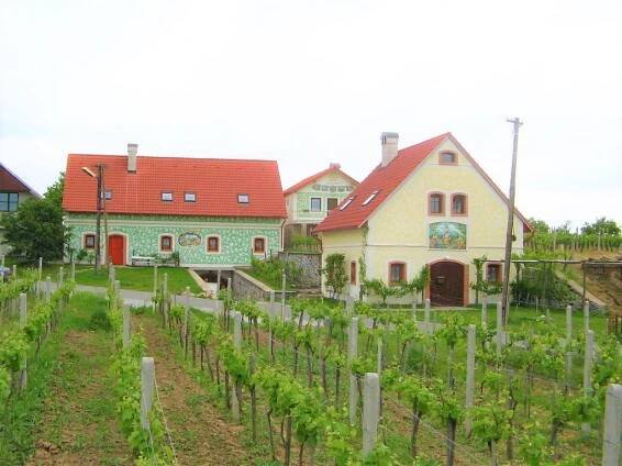 Markovy vinné sklepy - Olbramovice (okres Znojmo)