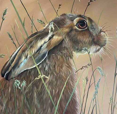 Oil painting of a hare in the grass