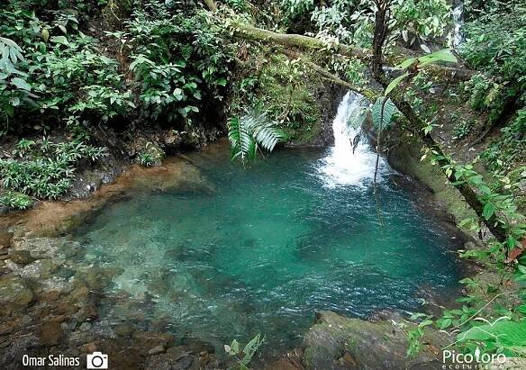 7 charcos profundos para disfrutar en el Valle del Cauca