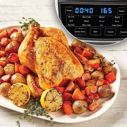 POWERXL MULTI-COOKER 12 V 1