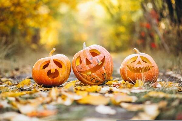 HALLOWEENSKÁ KOUZELNÁ NOC na DDM | aktuálně | Turistické informační centrum Bílovec 