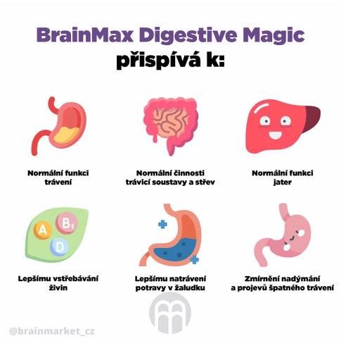 BrainMax Digestive Magic, Podpora trávení, 100 rostlinných kapslí | Interkontakt.store