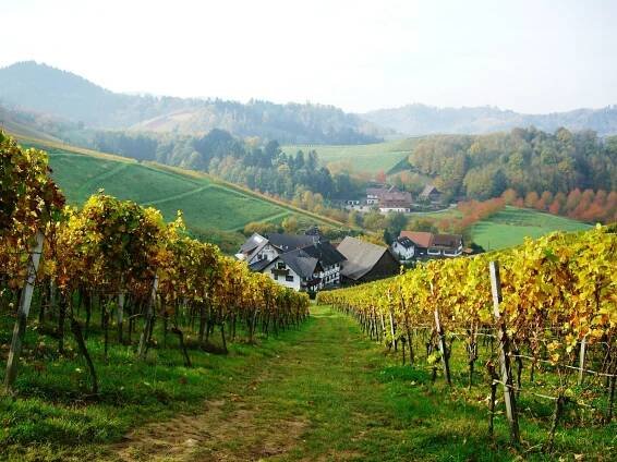 Orte & Sehenswürdigkeiten - Ortenau-Aktuell.de