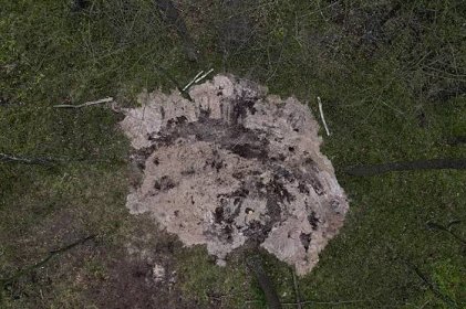 V severním Polsku nedaleko města Bydhošť (Bydgoszcz) byly nalezeny zbytky...