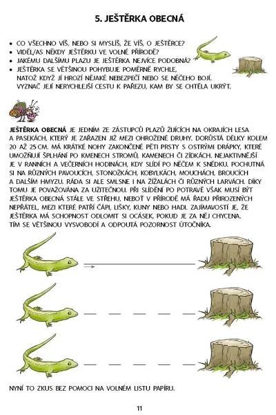 Dysgrafie pro 4.-5. ročník ZŠ - Dita Nastoupilová - UčebniceMapy.cz