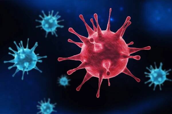‘This virus is a shape-shifter’