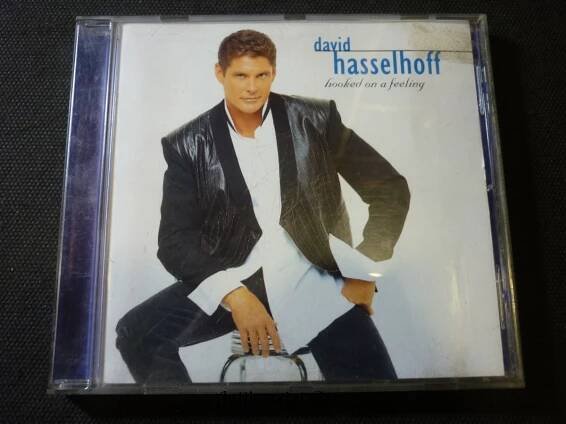David Hasselhoff hooked on a feeling