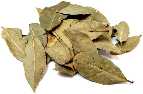 Bay Leaves.jpg