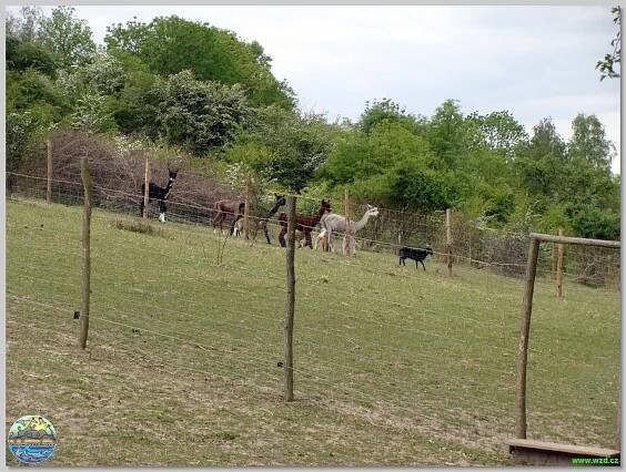 Zoopark Olovnice