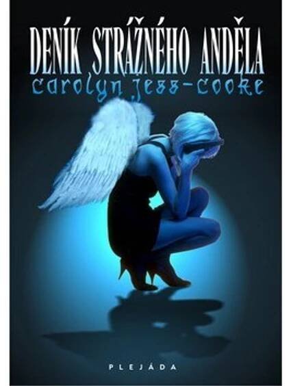 Deník strážného anděla - Carolyn Jess Cooke