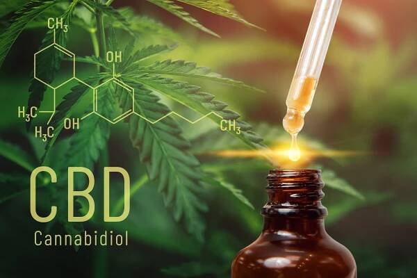 Představení: CBD od plzeňské značky Canalogy