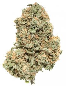 Buy Strawberry Cough Strain Online