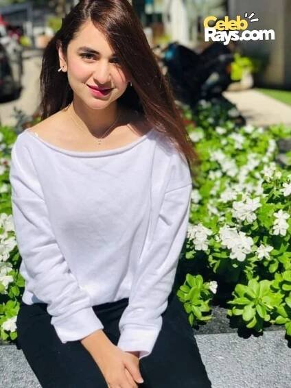 Yumna Zaidi dramas