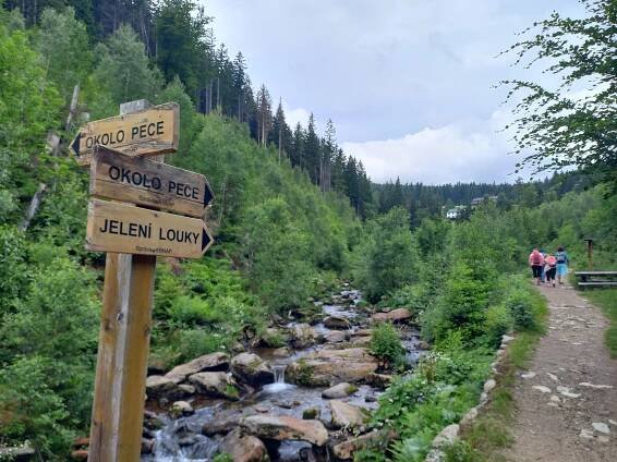 SONS ČR - Turistika: Jelení louky 