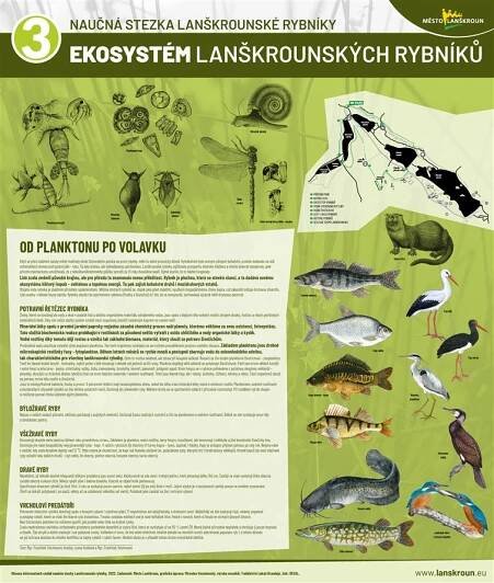 Ekosystém Lanškrounských rybníků