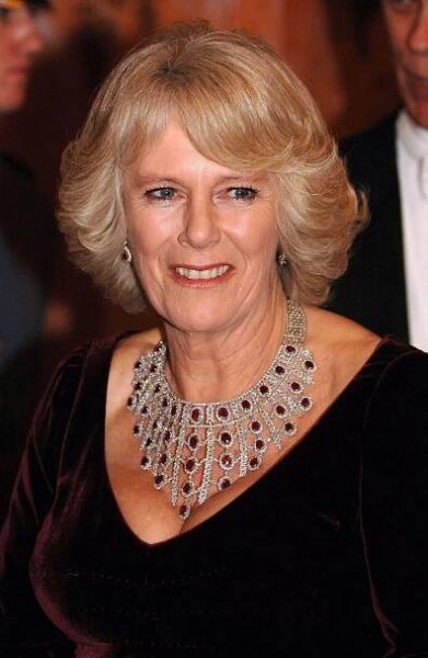 The Duchess of Cornwall attends a gala concert celebrating the 150th anniversary of the Philadelphia Academy of Music on January 27, 2007 (Anwar Hussein/Alamy)