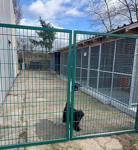Městský útulek pro psy Lesan Kralupy nad Vltavou - Fotky útulku 