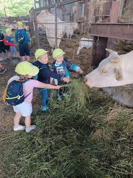 5. 6. Farma Pěnčín