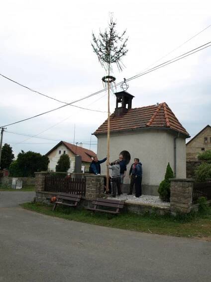 Stavění máje (2019) - Oficiální stránky obce Lešetice