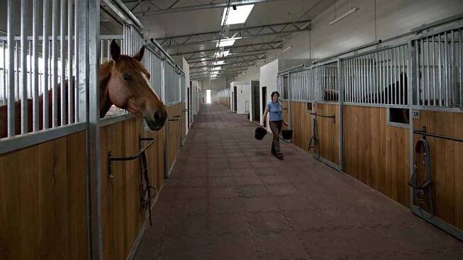 Jezdecký areál Equine Sport Center Olomouc