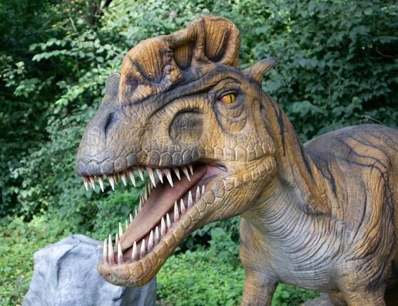 ZOO a DinoPark Vyškov – cesta ze současnosti do druhohor a zpět