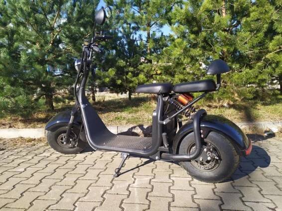 EcoWheel GR7 1000W