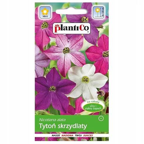 Tabák okřídlený VOŇAVÉ KVĚTY semen PlantiCo