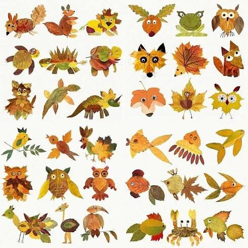 many different types of birds and leaves on a white background