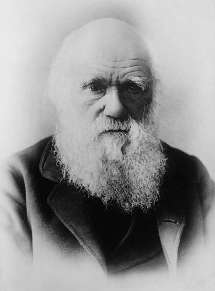 Klimatické aktivistky posprejovaly hrob Charlese Darwina. Skončily v poutech