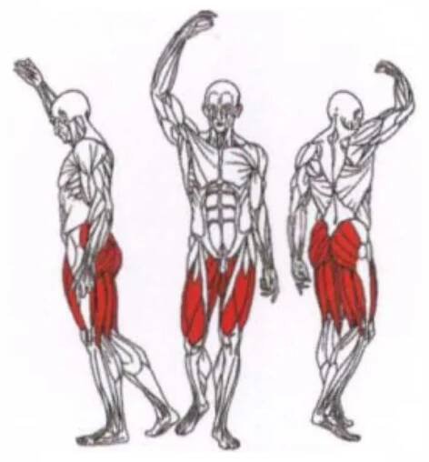Hip thrust – ukázka správné techniky cviku | FitCviky.cz