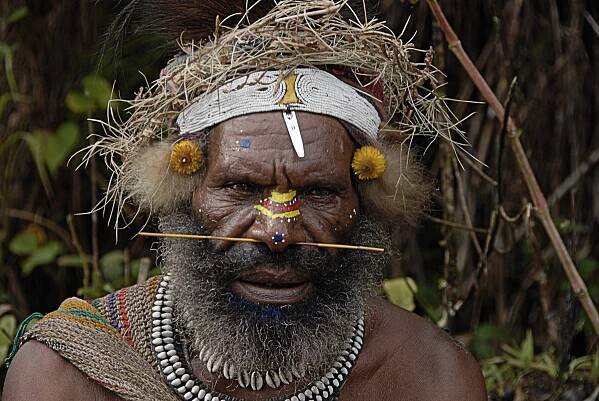 Huli Wigman Hairstyle with nose piercing