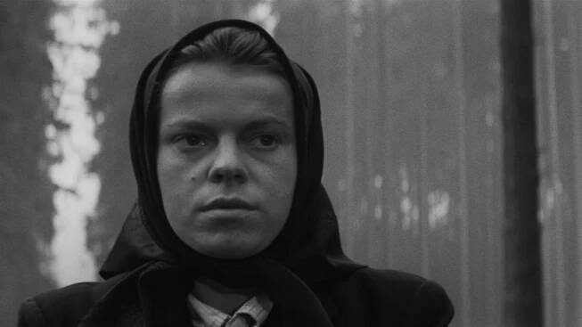 Kočár do Vídně – Filmy a Seriály online zdarma.