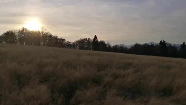 Naučná stezka pralesem Mionší - Dolní Lomná | Regiontourist.cz