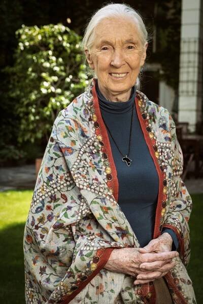 Foto Download - Jane Goodall Institute Austria