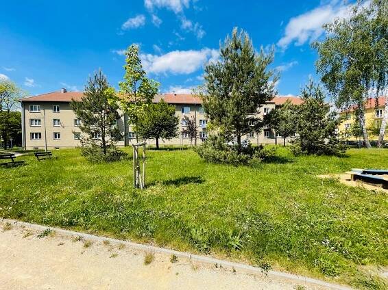 Prodej, byt 3+1, 70 m2, Uničov, Nerudova