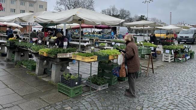 Konečně na trh! Počasí ale v Olomouci nepřálo, takto to vypadalo