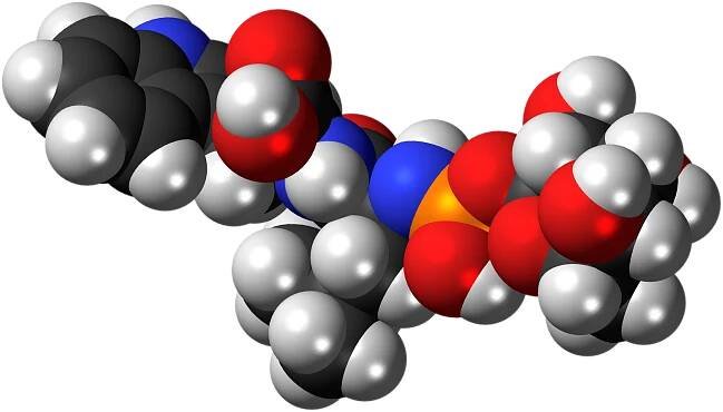 Phosphoramidon